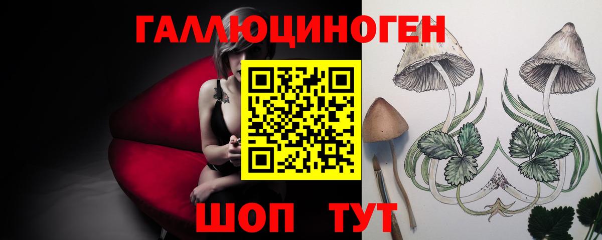 Галлюциногенные грибы Psilocybine cubensis  Вход с VPN  Балашиха 